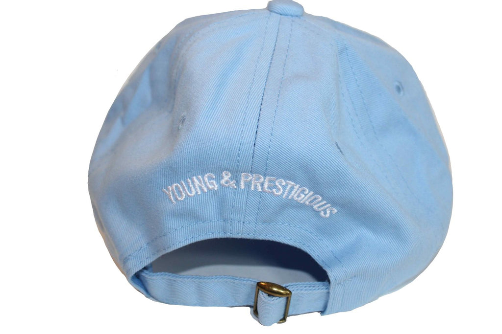 Blue (Pink Logo) -  Hats Womens, womens-hats